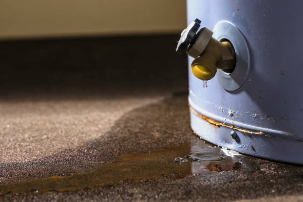  Farwell, TX Water damage restoration Pros