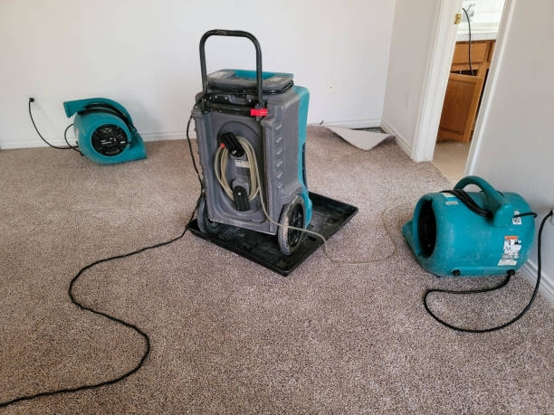 Water damage restoration insurance claims in Farwell, TX