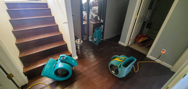 Best Water damage restoration near me  in Farwell, TX