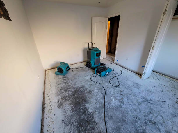 Best Water damage restoration near me  in Farwell, TX