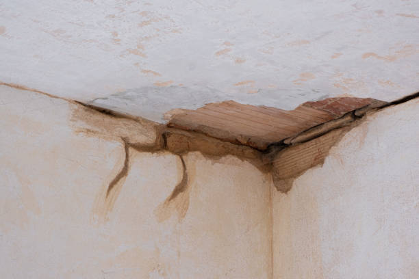 Best Water damage cleanup near me  in Farwell, TX