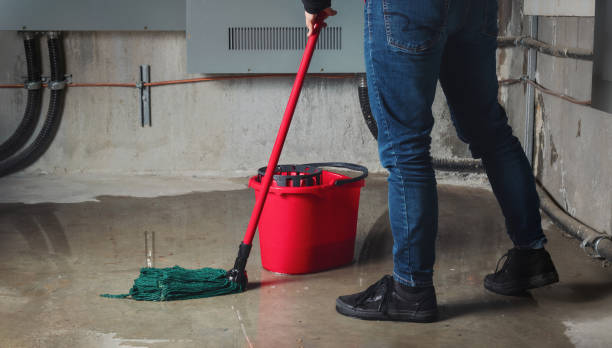 Best Mold removal after water damage  in Farwell, TX