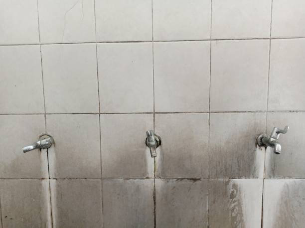 Best 24-hour water damage restoration  in Farwell, TX