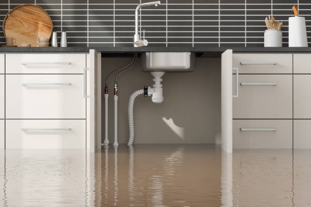 Best Basement water damage restoration  in Farwell, TX