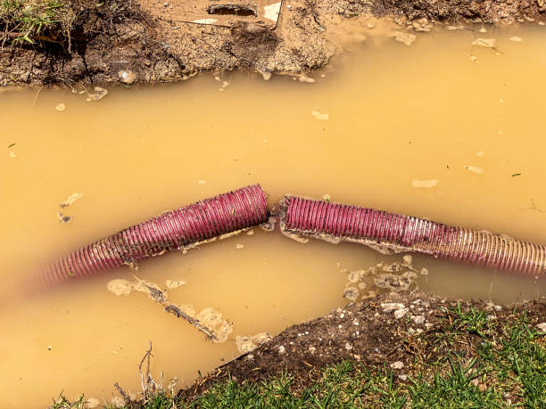 Best Water damage restoration experts  in Farwell, TX